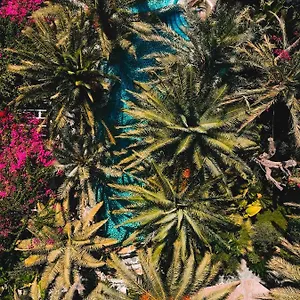 3* Hotel Flamingo & Spa - Pet Friendly